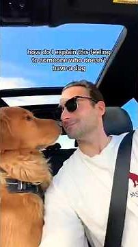 When Dogs Love Their Man… Pure Loyalty 🐶❤️