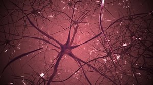 clip-32740231-neurons-brain-3d-seamless-looping-animation-neural