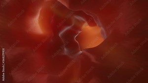 Animation of a Enteroscopy of the human intestines with a healthy peristalsis.