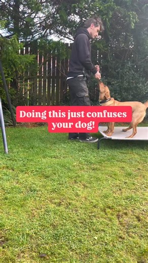Teaching a dog to lie down can be quite tricky if you’re making this mistake regularly. . If you keep lifting your hand directly upwards then your dog might follow your hand up which can cause them to sit or stand up. . To fix this, move your hand backwards whilst still keeping it level with your dogs eyes/nose. . After a quick pause, reward your dog again. Eventually increase the amount of time you pause for. This will build the duration of your dog’s down and make the position your asking from