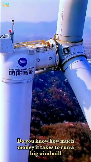 🌬️💡 The Real Cost & Power of a Giant Windmill! | Green Energy Facts ⚡#windmill #windenergy #factfuse