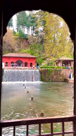 Ek Umeed Tujhse thi judi #lyrics #lyricvideo #ytshort #ytshorts