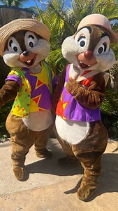Happy birthday to these two troublemakers! 🎂🥳 • • • #chipndale #chipanddale #disneyworld #disneyland #disneycruiseline #disneyparks #disneyfan #chipndalebirthday #birthday #disneybirthday | The DIS