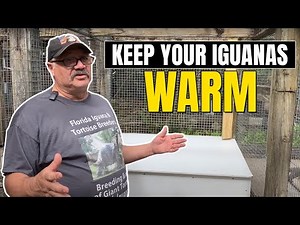 How to Make Your Own Outdoor Heated Iguana House!