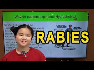Rabies Explorations