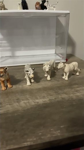 My favorite Schleich tiger right now #schleich