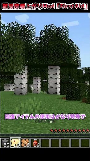 【マイクラ】難易度爆上がり！HPが部位ごとになるMod「First Aid」【Mod紹介】【小技】 #shorts