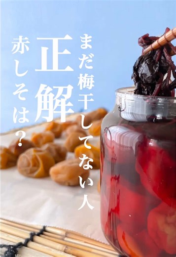 梅干しの干し方と活用法ガイド