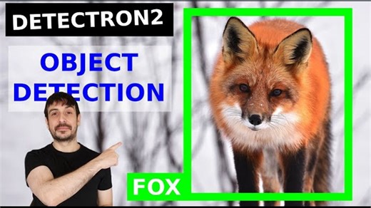 通过 Detectron2 训练自定义目标检测器 计算机视觉教程