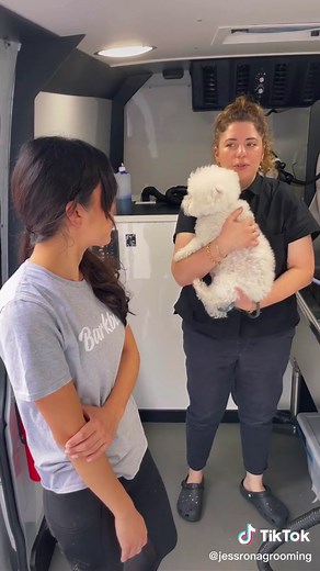 A Day in the Life of a Mobile Groomer at Bark Bus