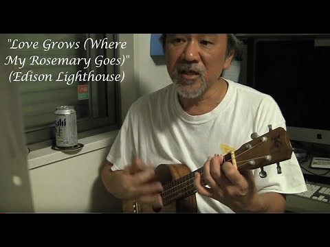 Love Grows Where My Rosemary Goes (Edison Lighthouse) ukulele