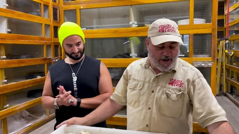 Kris Fade visits the zoo and opens some snake eggs🙌