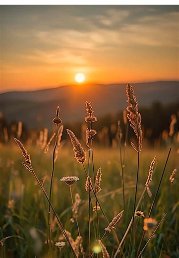 Relaxing Spring Moments in Nature