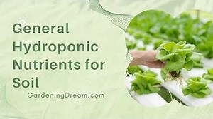 General Hydroponic Nutrients for Soil