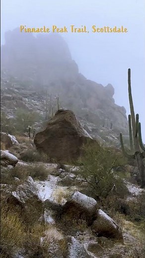 Snow And Cactus In Arizona's Sonoran Desert Near Phoenix