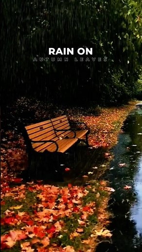 Rain on Autumn Leaves: Crisp Water Drops and Soft White Noise for Reflection