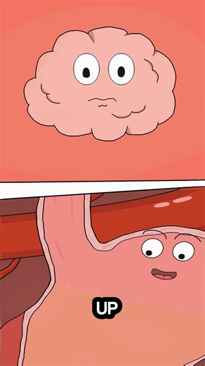 The Shocking Truth About Skipping Breakfast Every Day #animation #shorts #facts #health