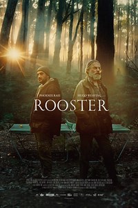 Stream The Rooster (2024): Find it on Netflix, Prime Video, Hulu & more