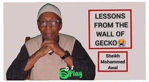 Lessons from the wall of gecko is a reminder and a wake up call. Sometimes, the greatest lessons cones from a place you never thought of, and that's the doing of Allah.... | Sheikh Mohammed Awal