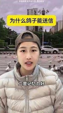 How Pigeons Revolutionized Mail Delivery: The Multi-Talented Birds