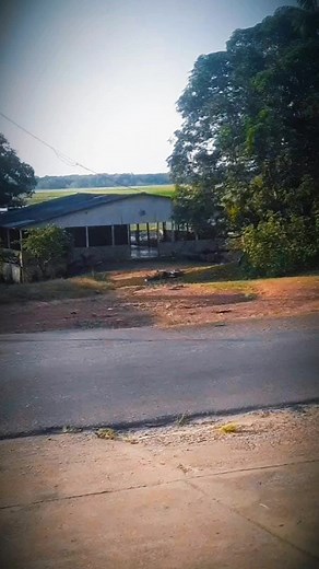 Discover Zouk Dance and Music in Macapá