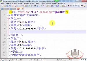 100.xml的基本格式二