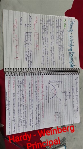 Hardy -Weinberg Principal for higher and lower classes