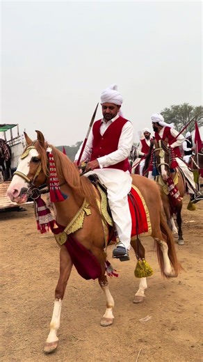 Understanding Recent Account Freezing Trends