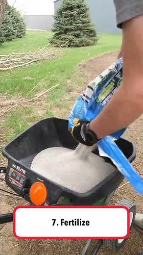 Spring Overseeding Steps in 1 MINUTE