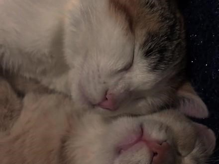 太想和你有以后了