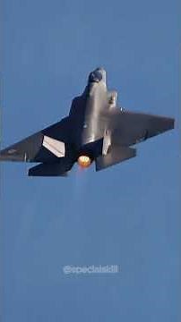 Boot Camp Evolution: 80 Years of Military Training 🪖💪