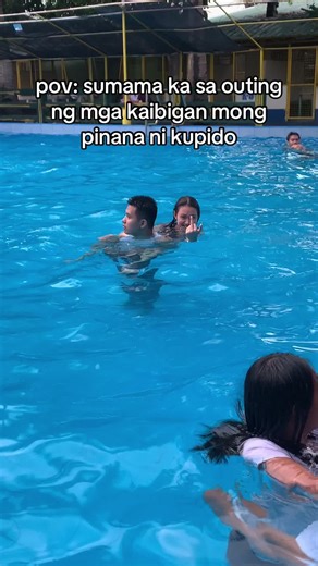 Cute Dogs Enjoying a Fun Swimming Pool Outing