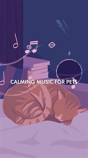 Keep your pets calm this Halloween and Bonfire night with our Calming Music for Pets playlist https://open.spotify.com/playlist/1L3ZqQGr4cw7MStGK1Hev1?si=Wjf828zfQpKRhxy-GNDTbA&nd=1&dlsi=2a7414f9058a420d | Music Lab Collective