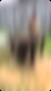 7.9K views · 6.1K reactions | Always amazed by the ingenuity behind...