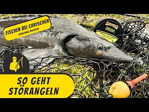 This is how sturgeon fishing works