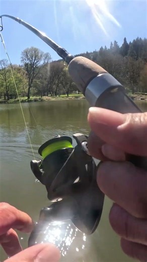 Big Trout CRUSHES the Kastmaster! 4 Year Old Net Man Clutches the Catch #kidsfish