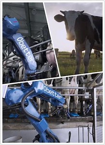 [Hot Item] Cow Milk Farm Auto Medicated Disinfection Automatic Teat Spray Robot