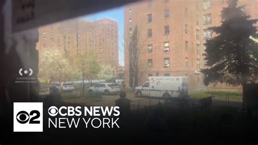 NYPD investigating deadly shooting in Fort Greene, Brooklyn | Haystack News