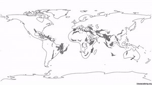 What is a biodiversity hotspot?