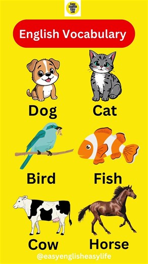 English Vocabulary #english