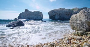 [NATURE] Blue Bay is the perfect combination of nature, animals and joyful life. Come and experience it yourself! https://bluebay-curacao.com/ | info@bluebay-curacao.com. | Blue Bay Curaçao