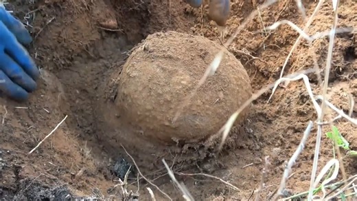 Lost German helmets reveal how old gear was reused in WWII