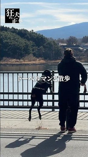 足の速さについて行けないパパの散歩の仕方