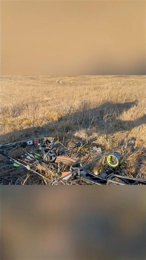 Busted Stalk while “fishing” for deer! #bowhunting #muledeer #deerhunting