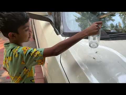Exploding Seed experiment (By Vihan)