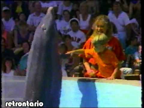 Everyone Loves Marineland 1993