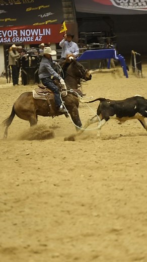 53K views · 782 reactions | Wait a minute. Did we just go back to 2023?! Trevor Nowlin and Trey Nowlin are the 2024 #12.5 Ariat @wstroping Finale champions, the same roping they won last year. They cashed in $274,000 this year with a 28.50 on 4  | Roping.com | Facebook