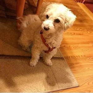 1.5K views · 236 reactions | UPDATE (11/26): Hey team! Great news for...