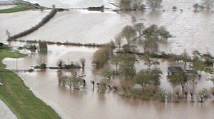 Somerset Levels - introduction to the wetlands