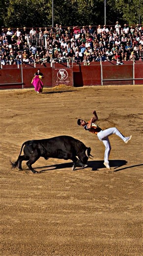 13K views · 1.1M reactions | Impresionante Salto Mortal Hacia Atras De Jamal Chee Al Toro De Galache ¡Precioso! #concursoderecortes | Aventurataurina | Facebook